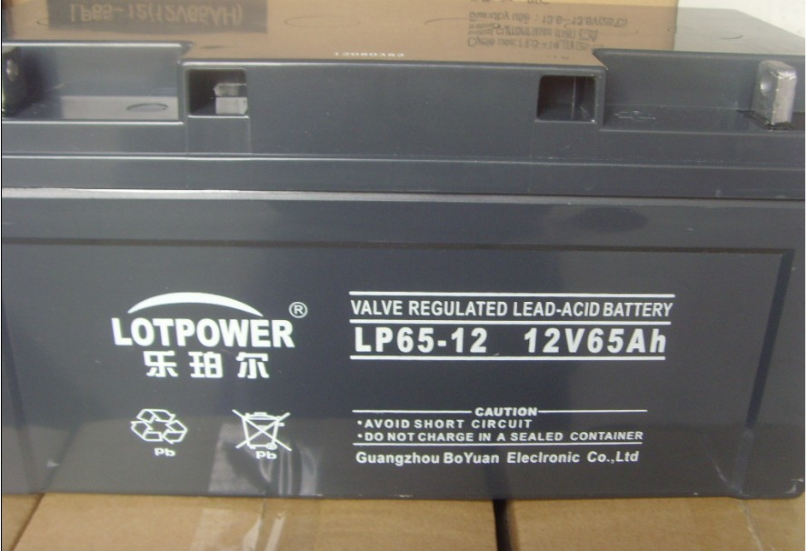乐珀尔蓄电池12V65AH厂销