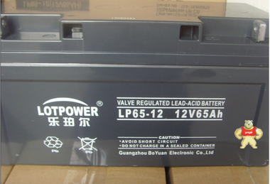 乐珀尔蓄电池12V65AH厂销 