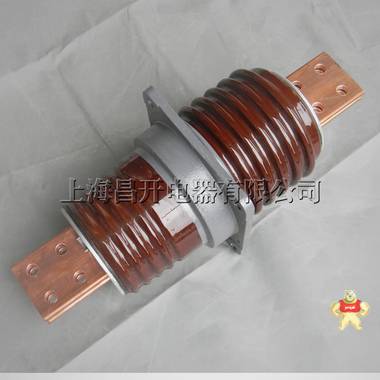 配用CS2、CS3、CS4、CS4-T型手力操动机构FN3-12(R)A系列 