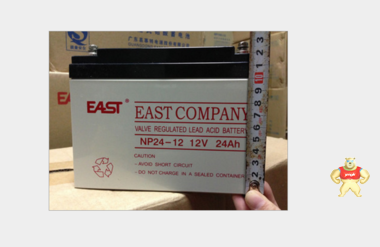 EAST/易事特蓄电池NP24-12 蓄电池12V24AH全新现货包邮 UPS专用 