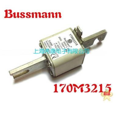 美国Bussmann熔断器170M3209 