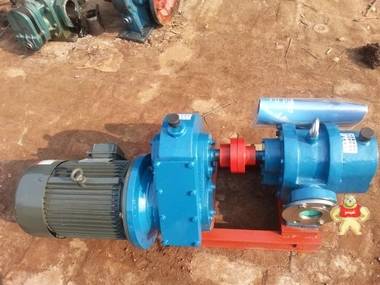 厂家内蒙直销LCW38-0.6罗茨泵 罗茨油泵 泊头市泰盛泵业有限公司 