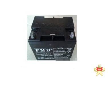 广州PMB蓄电池LCPA24-12免维护蓄电池12V24AH机房后备电池现货 