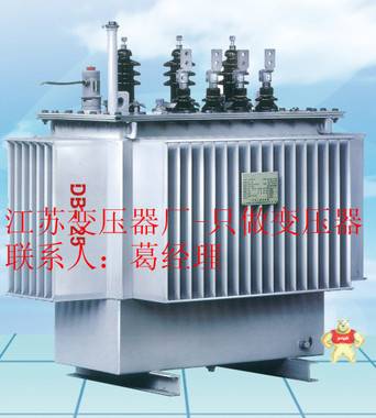 电力配电变压器SH15-125KVA油浸式变压器  10KV/.04 低价厂家直销 