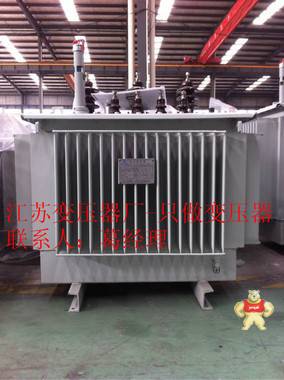 电力配电变压器SH15-160KVA油浸式变压器  10KV/.04 低价厂家直销 