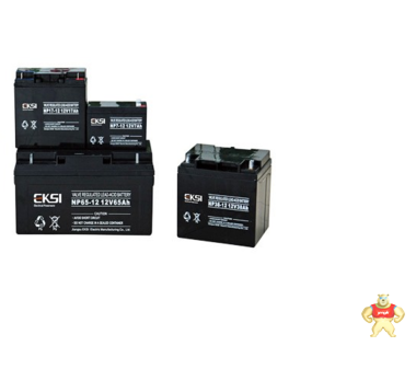 爱克赛蓄电池NP65-12美国进口蓄电池12V65AH现货 