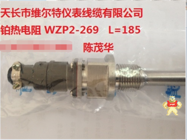 WZP2-269进口A级热电阻Pt100 接插式热电阻 L=200mm 