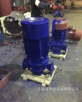 32口径立式铸铁管道离心泵 推荐生产厂家售后三包承诺