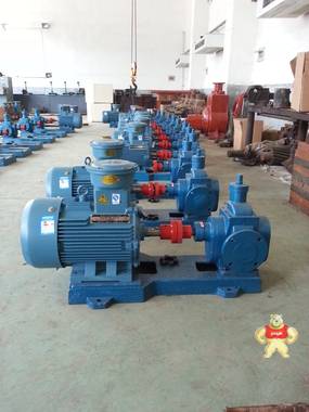供应KCB-9600齿轮泵 食品行业齿轮油泵 泊头市泰盛泵业有限公司 