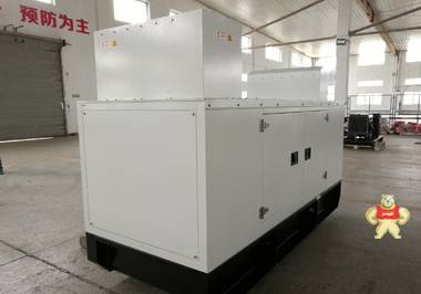 上海陆虎发电机 发电机组 上海康明斯系列 40KW风冷 三相 柴油发电机组 