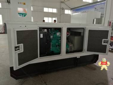 上海陆虎发电机 发电机组 上海康明斯系列 40KW风冷 三相 柴油发电机组 