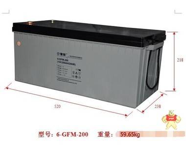 复华蓄电池6-GFM-200复华电池12V200AH  铅酸蓄电池免维护 包邮 可耐阳光科技 