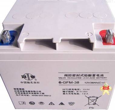 双登蓄电池6-GFM-3812V38AH铅酸免维护电池应急灯直流屏登专用 