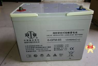 江苏双登蓄电池6-GFM-65/12V65AH 性价比高 原装产品 中国电源设备的先驱 