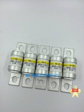 HINODE日之出熔斷器660GH-315UL 