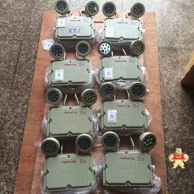 防爆双头应急灯BAJ/BCJ52厂家直销有现货，量大从优 