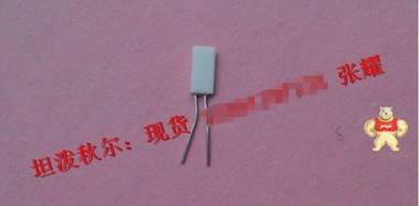 850度德国进口超高温铂电阻PT100-HD421