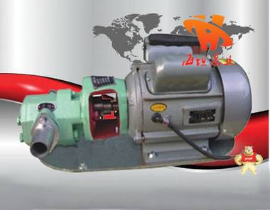 海坦供应微型齿轮油泵WCB型 