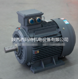 西安西瑪高效節(jié)能電機(jī) YE2-112M-6 2.2KW IP55 F級(jí) 泰富西瑪電機(jī)