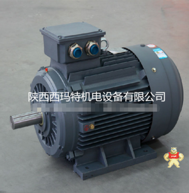 西安西玛高效节能电机 YE2-112M-6 2.2KW IP55 F级 泰富西玛电机 