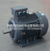 高效電機 YE2-315L1-4 160KW 西瑪電機 節(jié)能高效 國家推廣電機