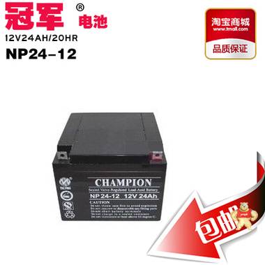 志诚冠军蓄电池NP24A-12适应于直流屏 ups电源 太阳能现货包 