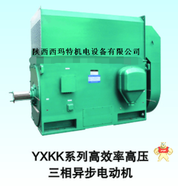 西玛6KV IP23 高压三相异步电机Y6304-12-1000 