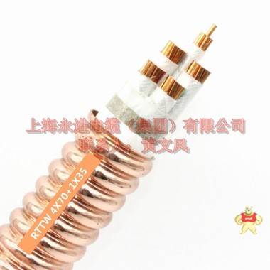 上海永进特种电缆铜护套矿物质防火电缆RTTW-3X25+2X16 