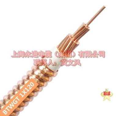 BTWGT-1x120铜护套矿物质防火电缆 