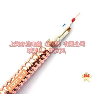 复合绝缘防火电力电缆BTWGT-3X16 