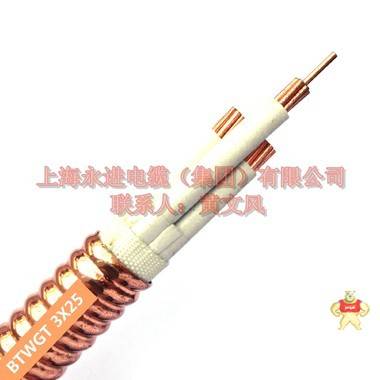 复合绝缘防火电力电缆BTWGT-3X16 