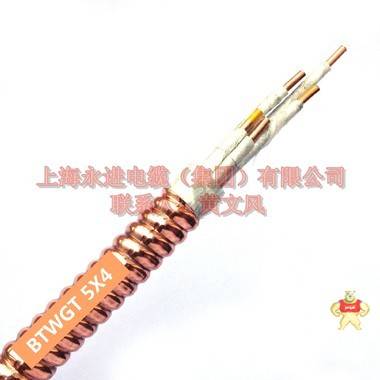 BTWGT-3X25铜护套柔性矿物复合绝缘防火电力电缆 