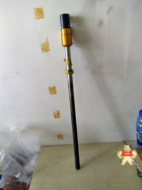 新捷顿中外合资氧探头600mm