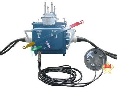 ZW28-12 630-20分支箱 