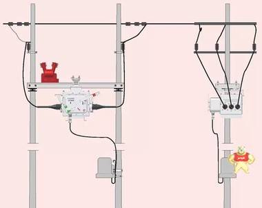 ZW28-12 630-20分支箱 
