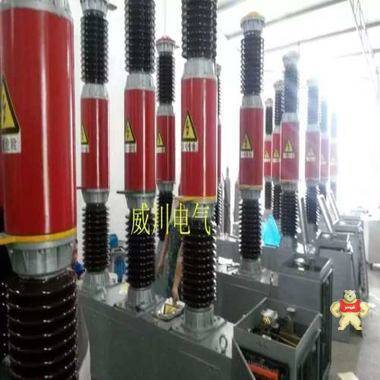 ZW4-12 630-20户外真空断路器 