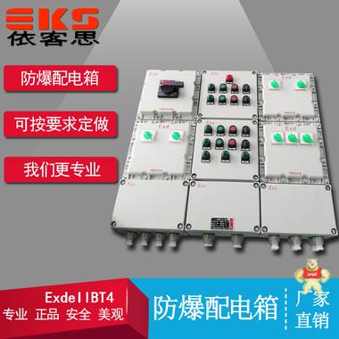 BXD51-6/K125防爆动力配电箱 