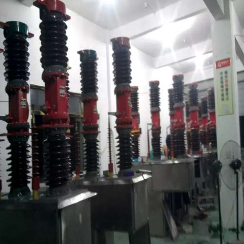 VEG-12GG开关价格