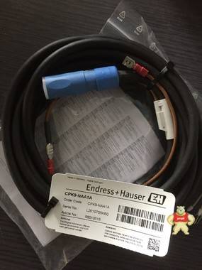 CPK9-NAA1A电缆E+H德国CPK9 