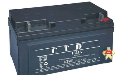 CTD蓄电池6GFM65代理-直销 