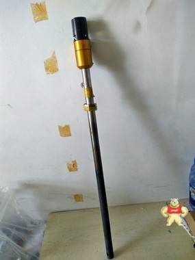 新捷顿中外合资氧探头JDX-800mm（不加偶） 