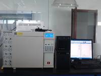 大气环境分析气相色谱仪
