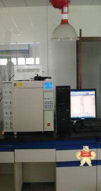 国产气相色谱仪 精测科技 