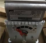 日本AZBIL山武伺服馬達(dá)/電動(dòng)執(zhí)行器ECM3000F2110現(xiàn)貨現(xiàn)貨