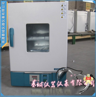 电热干燥箱 恒温干燥箱 烘箱 工业烤箱 202-00AB 