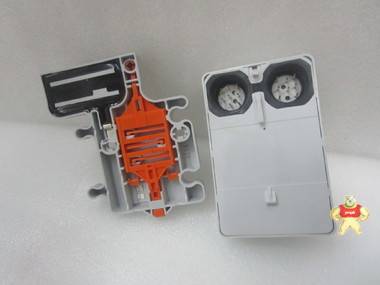 Allen-Bradley   1738-EP24DC    电源配件 智能自动化工控 