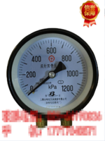 YZS-102雙針雙管壓力表-上海自動化儀表四廠生產(chǎn)，現(xiàn)貨包郵優(yōu)惠