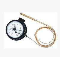 供应WTQ-288型压力式温度计 上海自动化官网商城