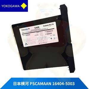 PSCAMAAN 16404-5003 现货库存