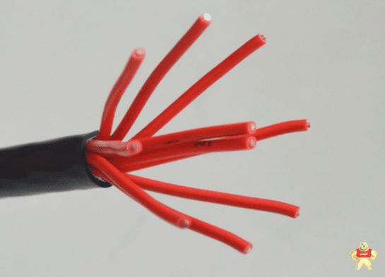 如何快速辨別控制電纜